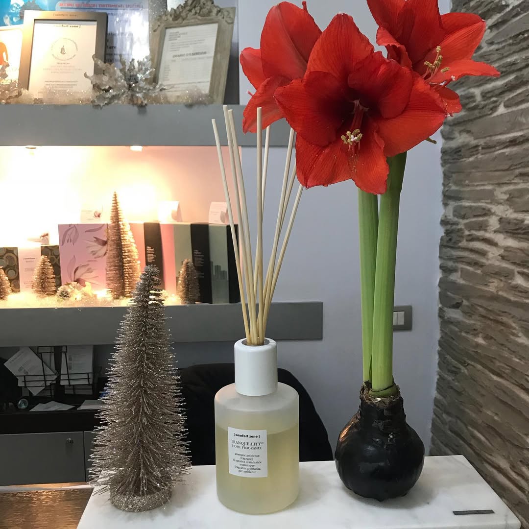 Centro estetico dettaglio